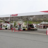Giant Gas Station Me
